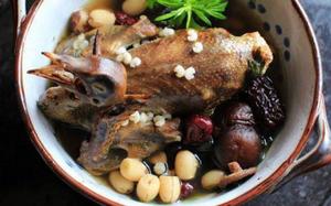 Top 5 món ăn hấp dẫn từ chim bồ câu trong thực đơn nấu tiệc tận nơi